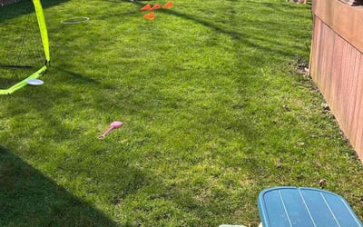 Photo of Gina C.'s yard after getting lawn care in Cedar Springs, MI