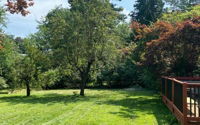 Photo of Tamara F.'s yard after getting lawn care in Windsor, CT