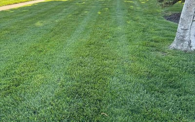 Photo of Deborah D.'s yard after getting lawn care in Walled Lake, MI