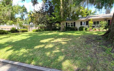 Photo of Sean M.'s yard after getting lawn care in Maitland, FL