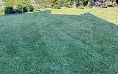 Photo of Deborah D.'s yard after getting lawn care in Brentwood, TN