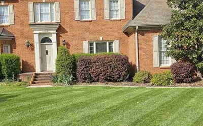 Photo of Kiyisha A.'s yard after getting lawn care in Chattanooga, TN