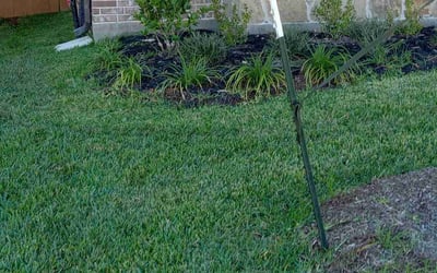 Photo of Rick D.'s yard after getting lawn care in Cypress, TX