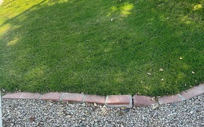 Photo of Jean-Pierre F.'s yard after getting lawn care in Sun City, AZ