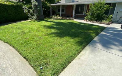 Photo of Hannah B.'s yard after getting lawn care in South Lake Tahoe, CA