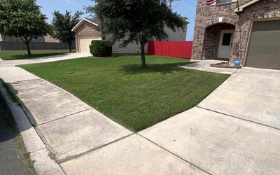 Photo of Jackie Z.'s yard after getting lawn care in Paradise, CA