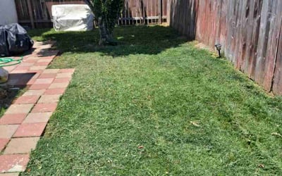 Photo of Kimberly B.'s yard after getting lawn care in Imperial Beach, CA