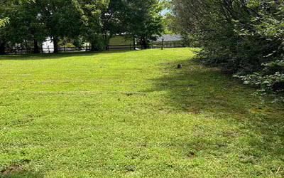 Photo of Mike A.'s yard after getting lawn care in Concord, MA