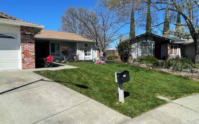 Photo of Shannon N.'s yard after getting lawn care in Pittsburg, CA