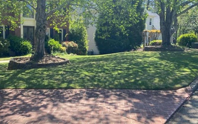 Photo of Jeremy F.'s yard after getting lawn care in Roswell, GA