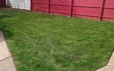 Photo of Abdurrahman R.'s yard after getting lawn care in Cleveland, OH
