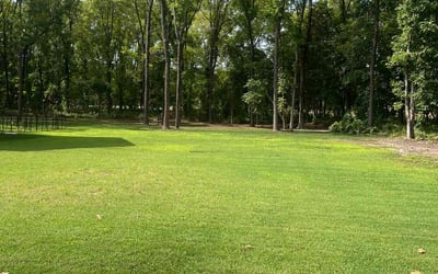 Photo of Symone S.'s yard after getting lawn care in Glassboro, NJ