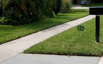 Photo of Michael G.'s yard after getting lawn care in Ocoee, FL