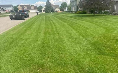 Photo of Valorie E.'s yard after getting lawn care in Zeeland, MI