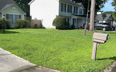Photo of Chad J.'s yard after getting lawn care in Bull Mountain, OR