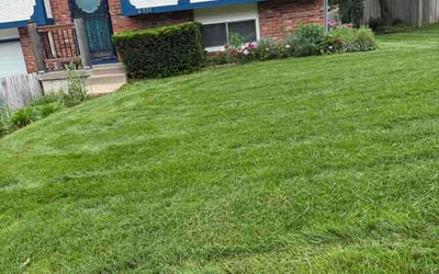 Photo of Dru R.'s yard after getting lawn care in Walton, KY