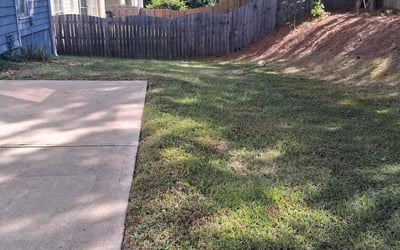 Photo of Ravi P.'s yard after getting tree care in Sussex, NJ