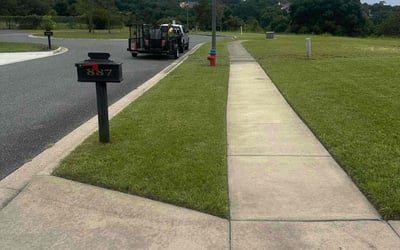 Photo of Devin K.'s yard after getting lawn care in Omaha, NE
