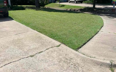 Photo of Terry D.'s yard after getting lawn care in Southport, NC