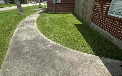 Photo of Alicia D.'s yard after getting lawn care in Midlothian, VA