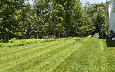 Photo of Alicia K.'s yard after getting lawn care in Candler, NC