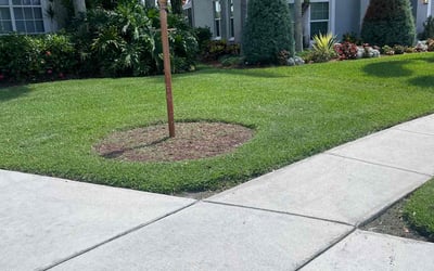 Photo of Amanda W.'s yard after getting lawn care in West Palm Beach, FL