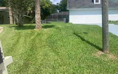 Photo of David V.'s yard after getting lawn care in Belleview, FL