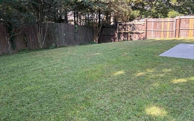 Photo of Andrew D.'s yard after getting lawn care in Exton, PA