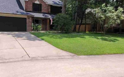 Photo of Daniel C.'s yard after getting lawn care in Converse, TX