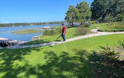 Photo of Cleo M.'s yard after getting lawn care in Bellingham, WA