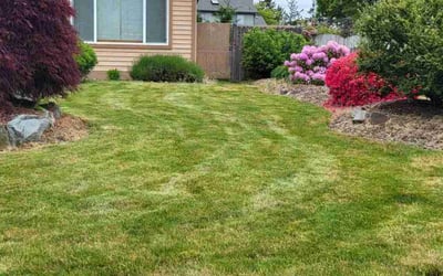 Photo of Marcella E.'s yard after getting lawn care in Covington, WA