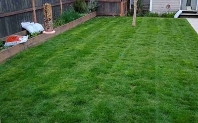 Photo of Alyssa M.'s yard after getting lawn care in Tacoma, WA