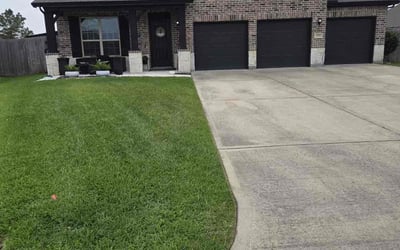 Photo of Kayla P.'s yard after getting lawn care in Land O' Lakes, FL