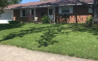 Photo of Sonya M.'s yard after getting lawn care in Vandalia, OH
