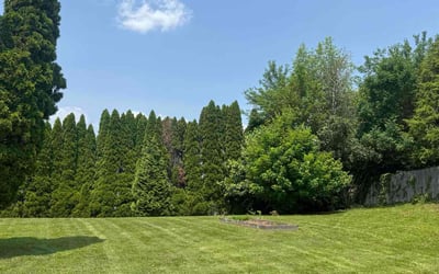 Photo of Kathy G.'s yard after getting lawn care in Manor, TX