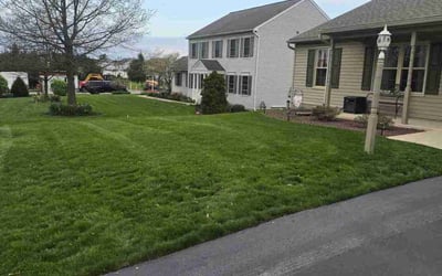 Photo of Jayson W.'s yard after getting lawn care in York, PA