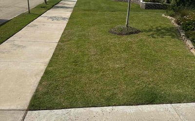 Photo of Ellen A.'s yard after getting lawn care in Media, PA