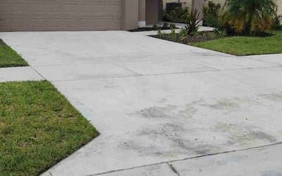 Photo of Jenny N.'s yard after getting lawn care in Renton, WA