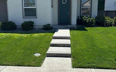 Photo of pete t.'s yard after getting lawn care in Tracy, CA