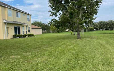 Photo of Marissa O.'s yard after getting lawn care in Carrollwood, FL