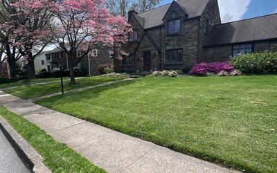 Photo of Brenda R.'s yard after getting lawn care in Drexel Hill, PA
