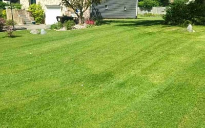 Photo of Renee P.'s yard after getting lawn care in Crown Point, IN