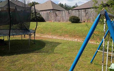 Photo of Shirley S.'s yard after getting lawn care in East Ridge, TN