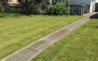 Photo of Thomas S.'s yard after getting lawn care in Elmwood Park, IL