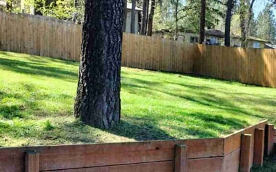 Photo of Walter P.'s yard after getting lawn care in Colville, WA