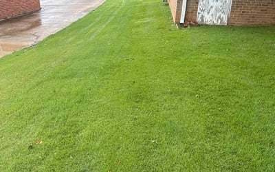 Photo of Brian S.'s yard after getting lawn care in Mauldin, SC