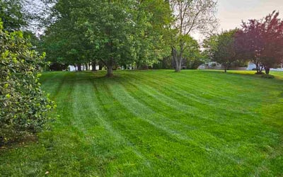 Photo of William A.'s yard after getting lawn care in Fort Hunt, VA