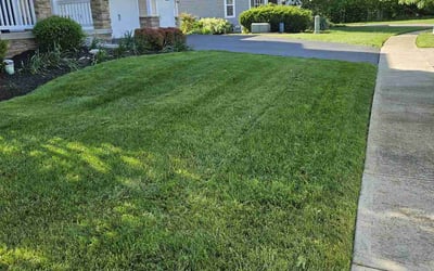 Photo of Seth K.'s yard after getting lawn care in New Lexington, OH