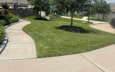 Photo of Evan M.'s yard after getting lawn care in Cypress, TX