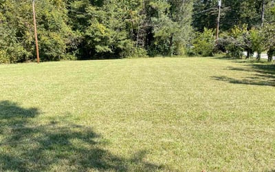 Photo of Joanne J.'s yard after getting lawn care in College Park, GA